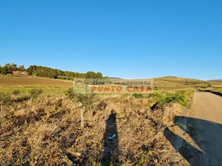 Immagine 4 di Terreno residenziale in vendita  a Erice