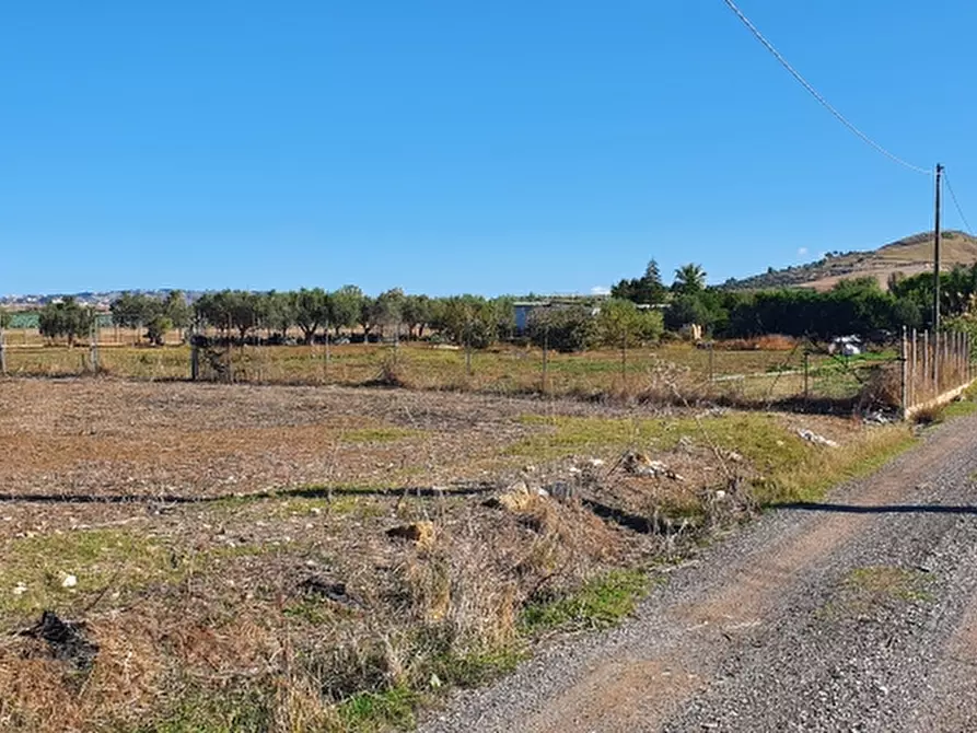 Immagine 4 di Terreno agricolo in vendita  a Trapani