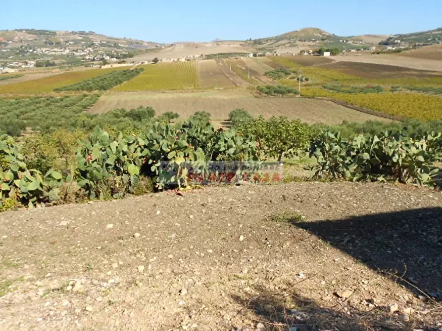 Immagine 5 di Terreno residenziale in vendita  a Valderice