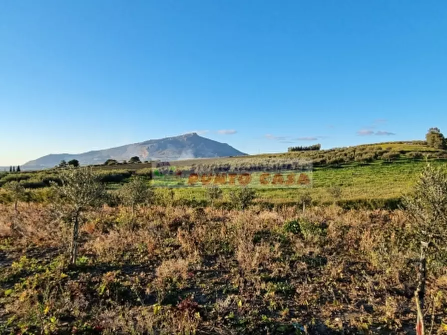 Immagine 5 di Terreno residenziale in vendita  a Erice