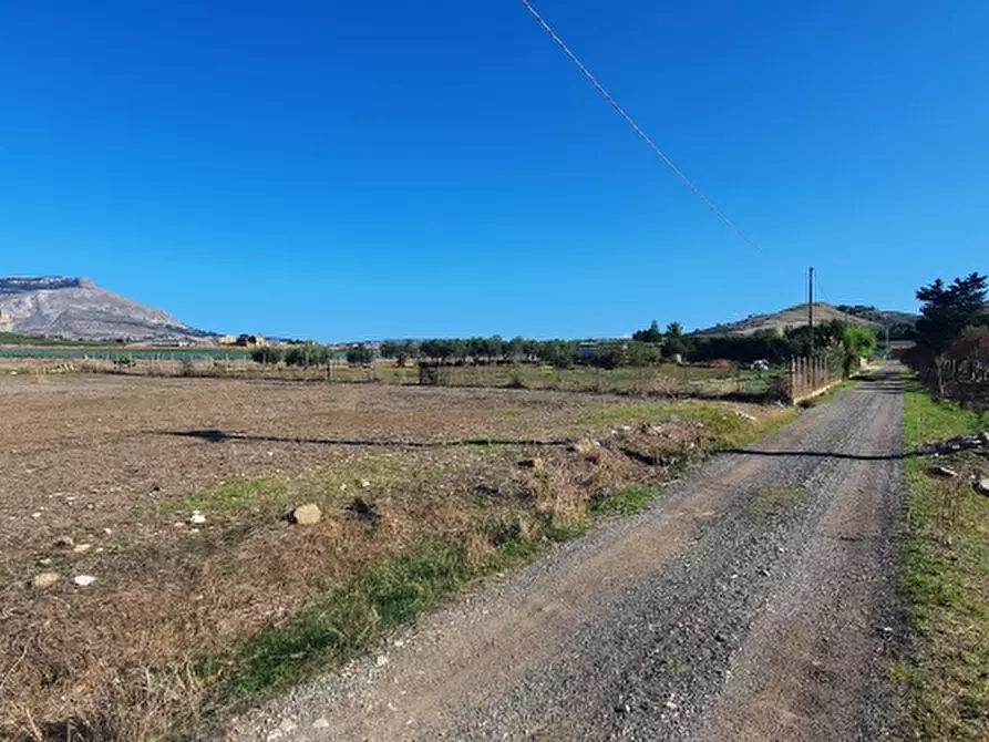Immagine 5 di Terreno agricolo in vendita  a Trapani