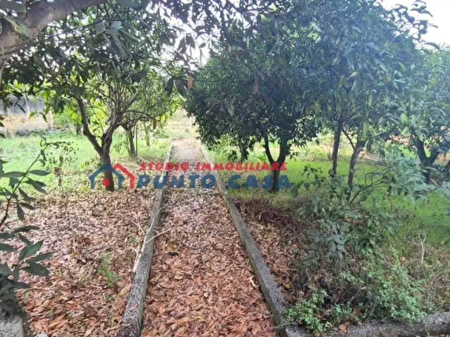 Immagine 23 di Casa indipendente in vendita  a Valderice