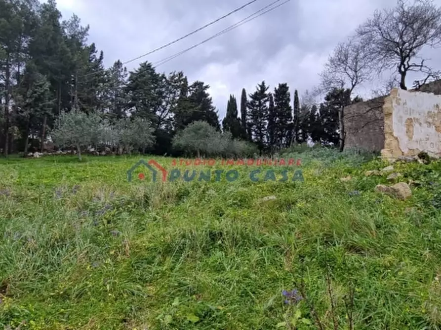 Immagine 3 di Terreno residenziale in vendita  a Buseto Palizzolo