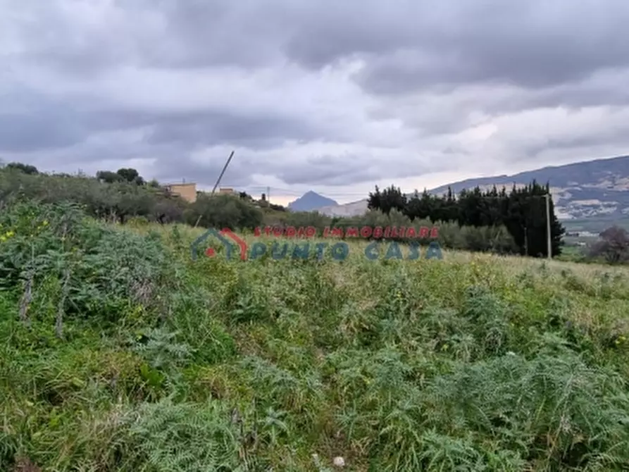 Immagine 5 di Terreno residenziale in vendita  a Buseto Palizzolo