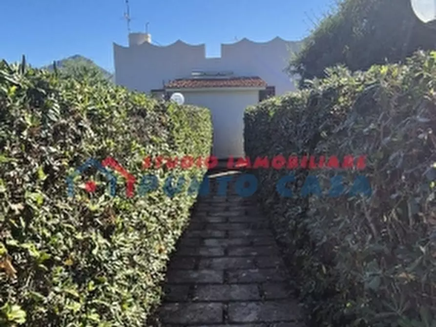 Immagine 20 di Casa indipendente in vendita  a Valderice