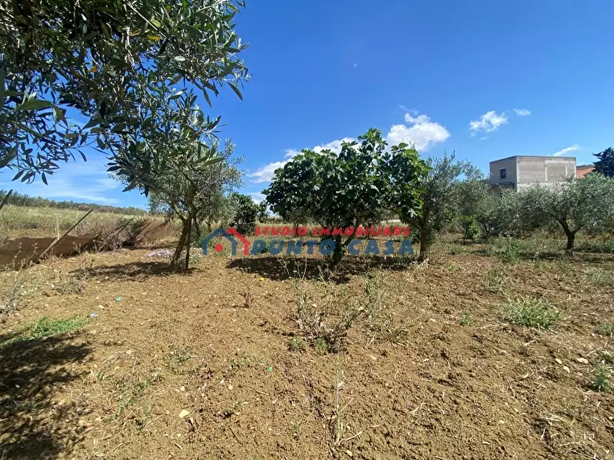 Immagine 20 di Casa indipendente in vendita  a Erice