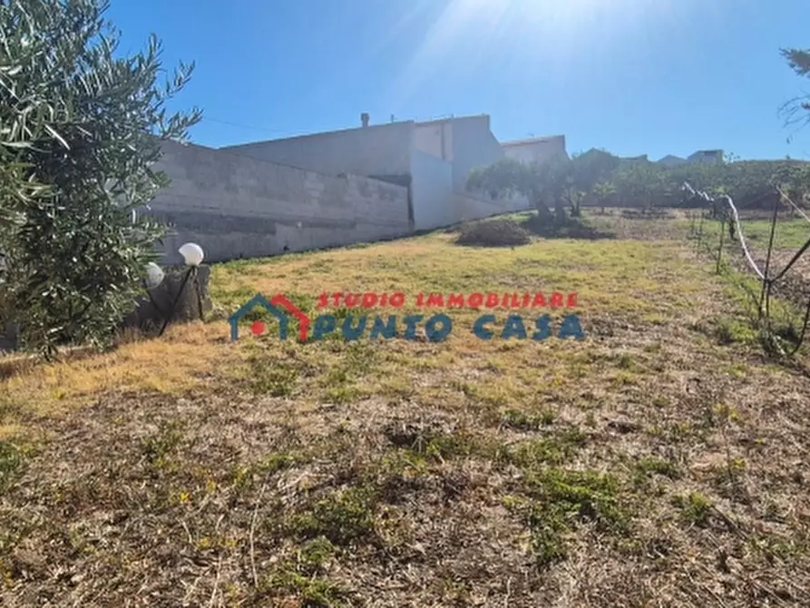 Immagine 21 di Casa indipendente in vendita  a Buseto Palizzolo