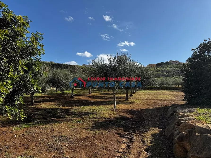 Immagine 5 di Villa in vendita  a Custonaci