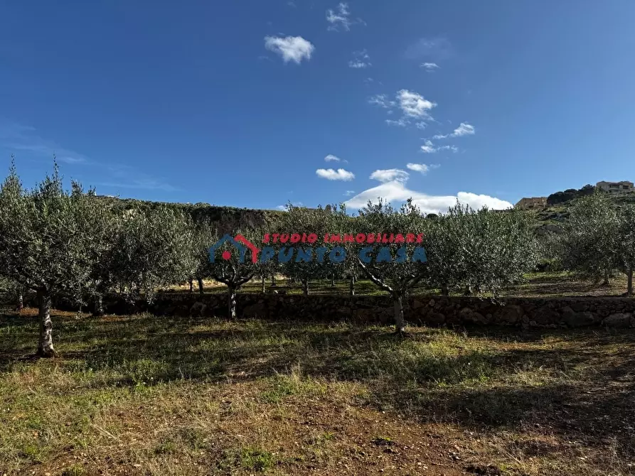 Immagine 7 di Villa in vendita  a Custonaci