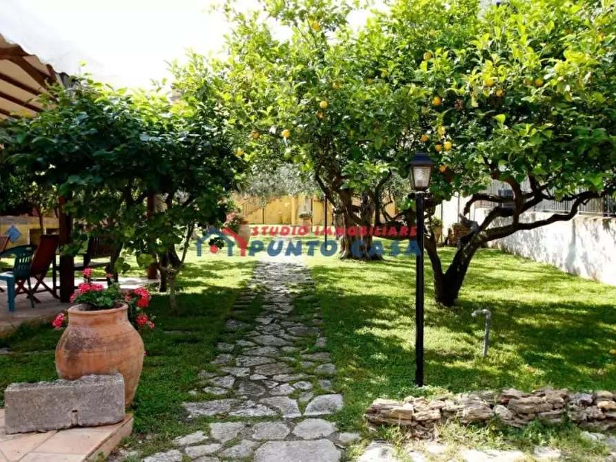 Immagine 7 di Agriturismo in vendita  a Paceco