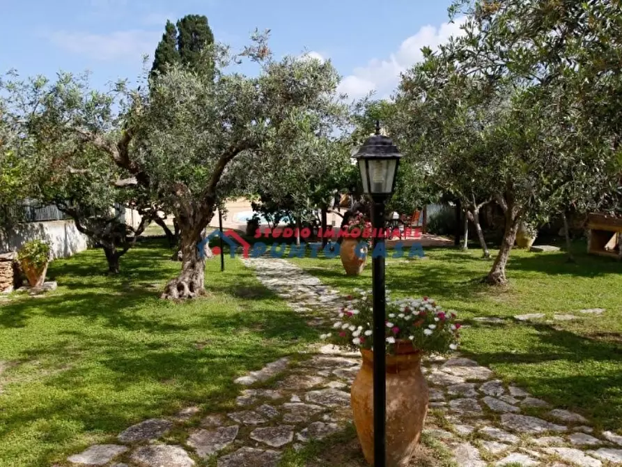 Immagine 8 di Agriturismo in vendita  a Paceco