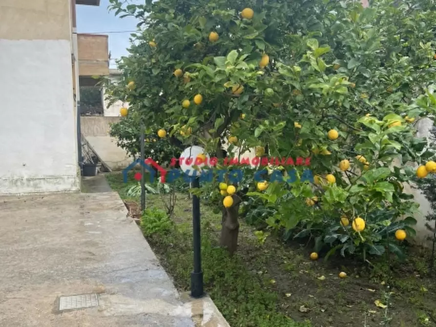 Immagine 18 di Casa indipendente in vendita  a Paceco