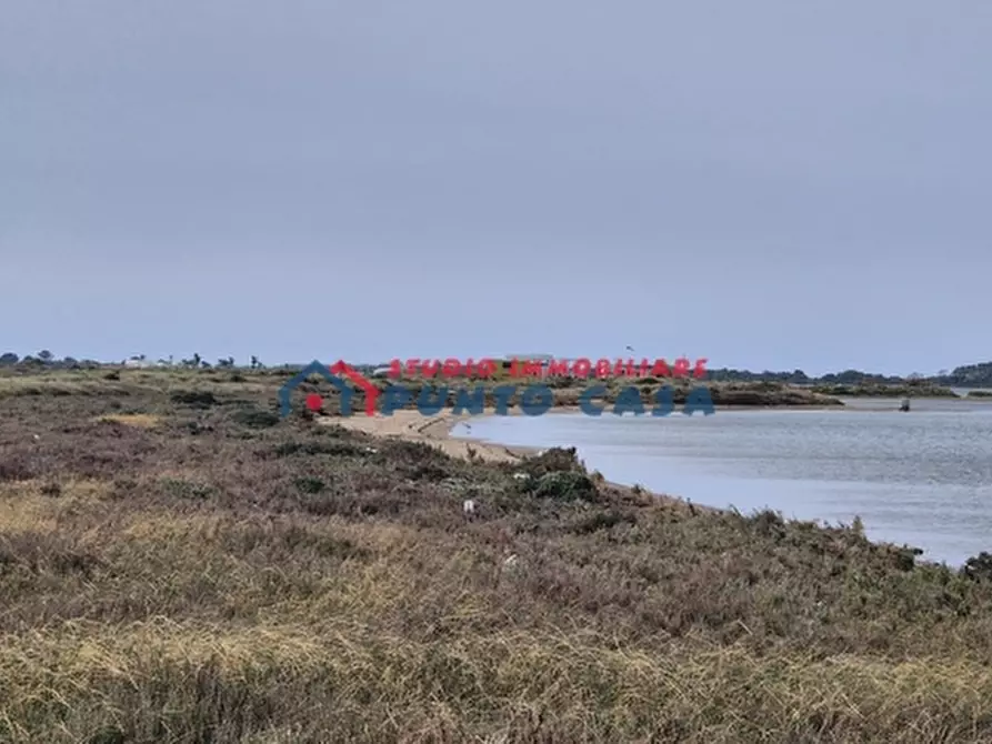 Immagine 12 di Terreno agricolo in vendita  a Marsala