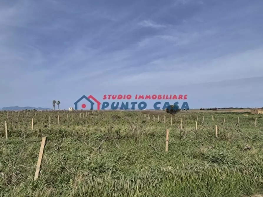 Immagine 14 di Terreno agricolo in vendita  a Marsala