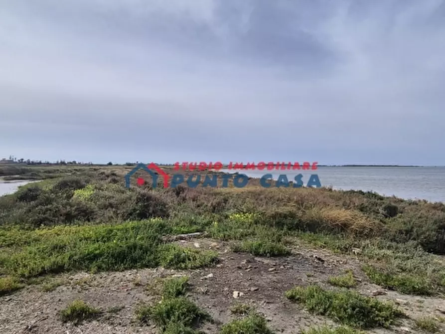 Immagine 19 di Terreno agricolo in vendita  a Marsala