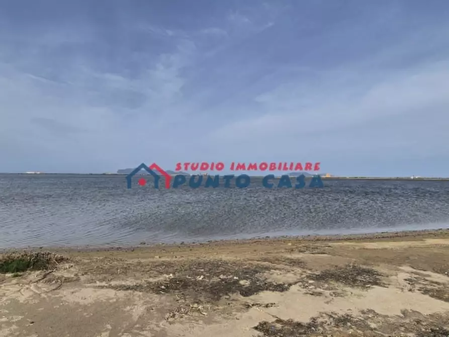 Immagine 3 di Terreno agricolo in vendita  a Marsala