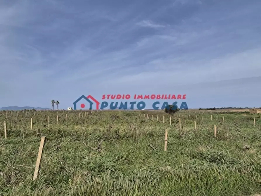 Immagine 4 di Terreno agricolo in vendita  a Marsala