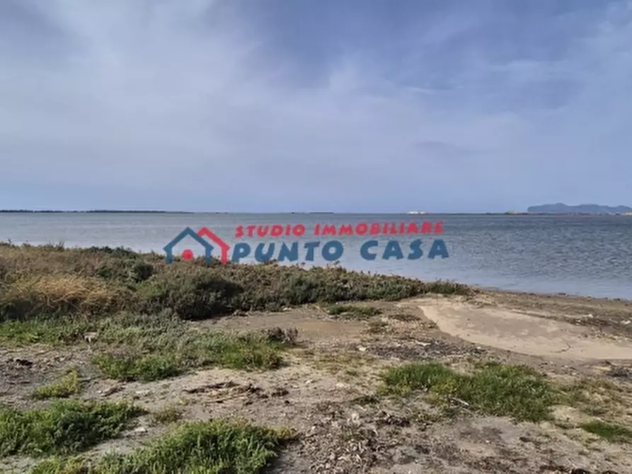 Immagine 8 di Terreno agricolo in vendita  a Marsala