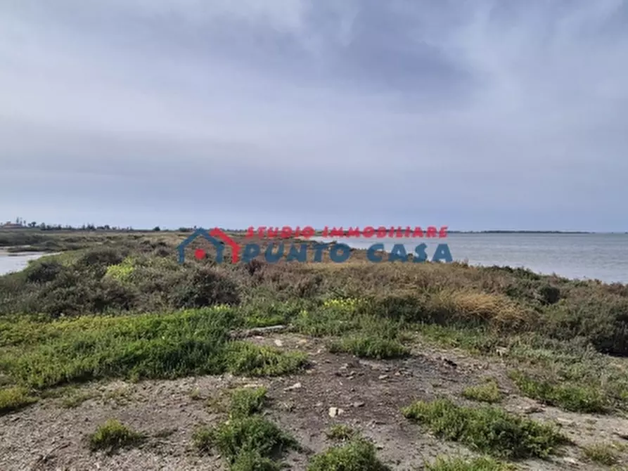 Immagine 9 di Terreno agricolo in vendita  a Marsala