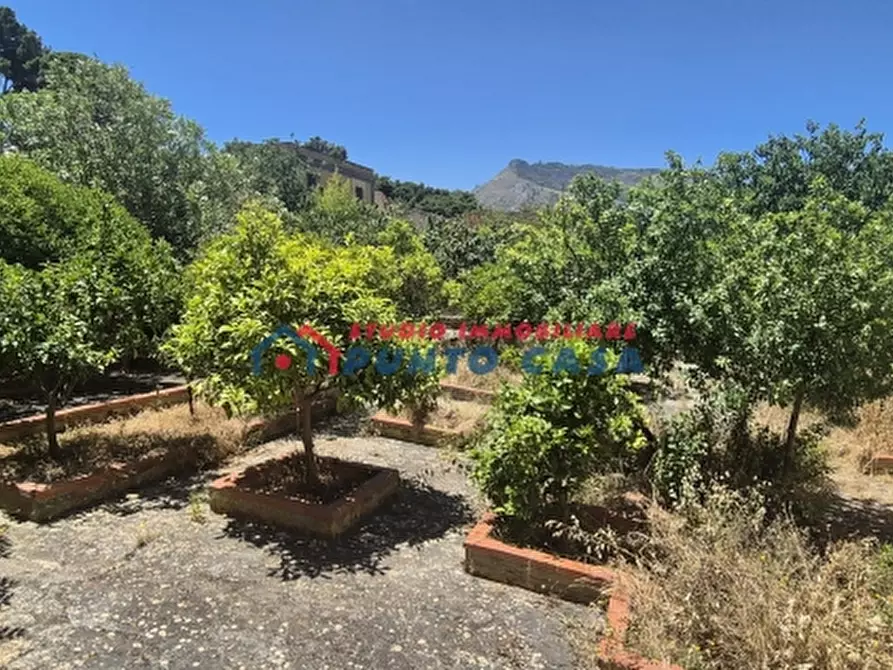 Immagine 21 di Casa indipendente in vendita  a Valderice