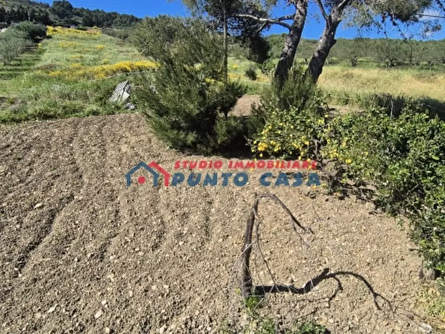 Immagine 17 di Casa indipendente in vendita  a Valderice