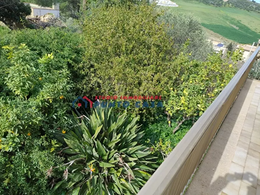 Immagine 20 di Casa indipendente in vendita  in Via Pagoto a Buseto Palizzolo