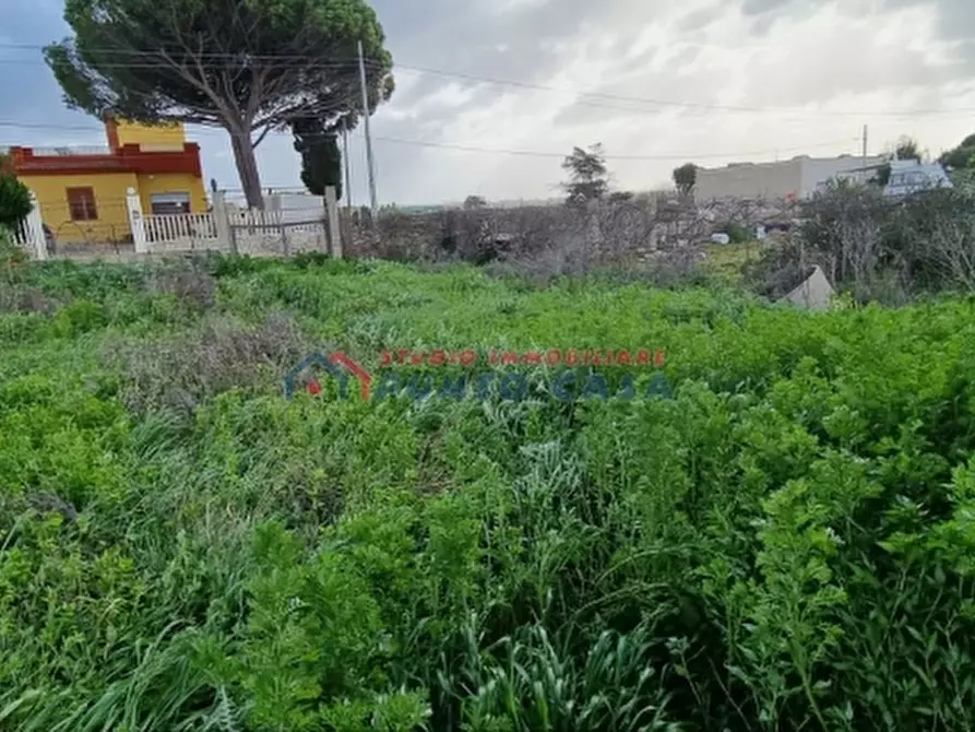 Immagine 2 di Terreno residenziale in vendita  a Paceco