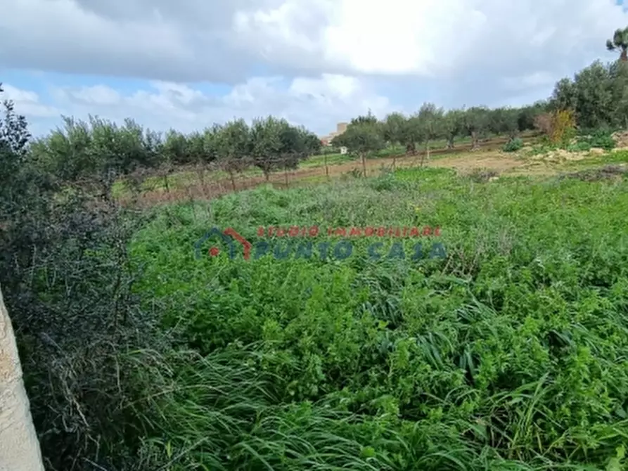 Immagine 4 di Terreno residenziale in vendita  a Paceco