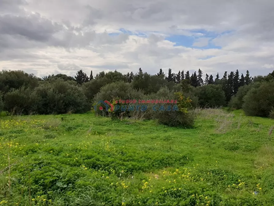 Immagine 2 di Terreno agricolo in vendita  a Trapani