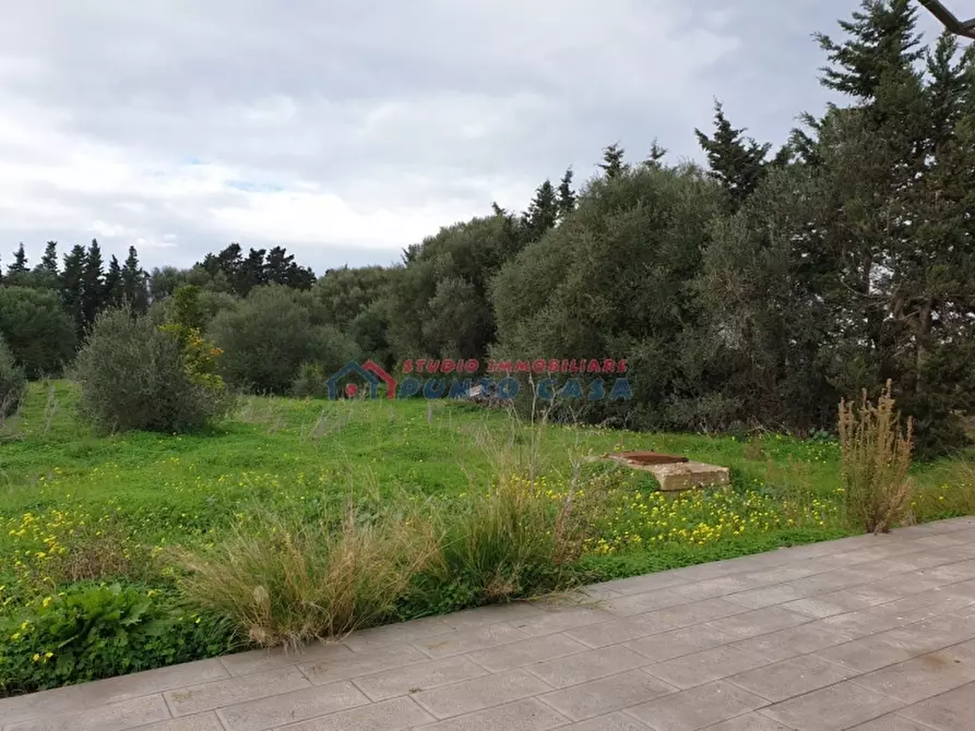 Immagine 3 di Terreno agricolo in vendita  a Trapani