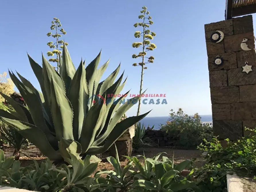 Immagine 17 di Villa in vendita  a Pantelleria