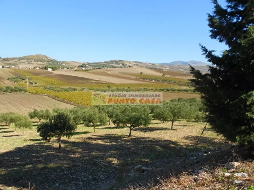 Immagine 6 di Terreno residenziale in vendita  a Valderice