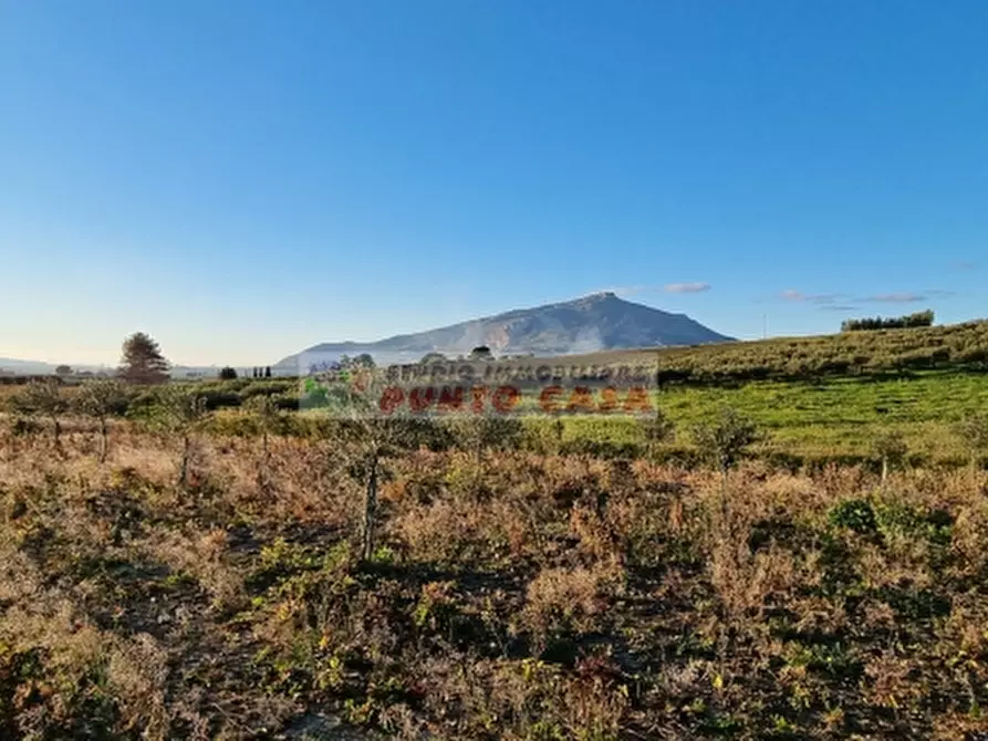 Immagine 6 di Terreno residenziale in vendita  a Erice