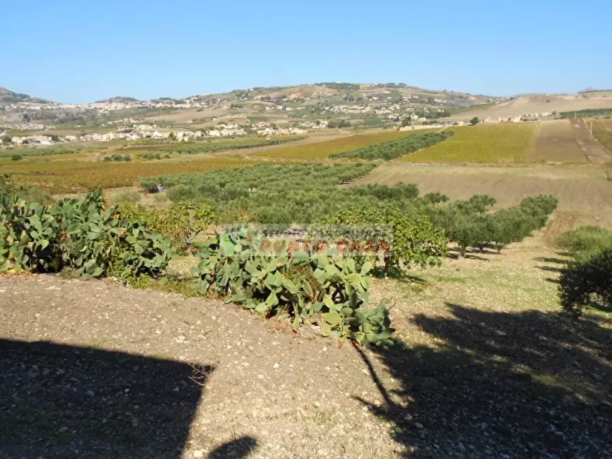Immagine 7 di Terreno residenziale in vendita  a Valderice