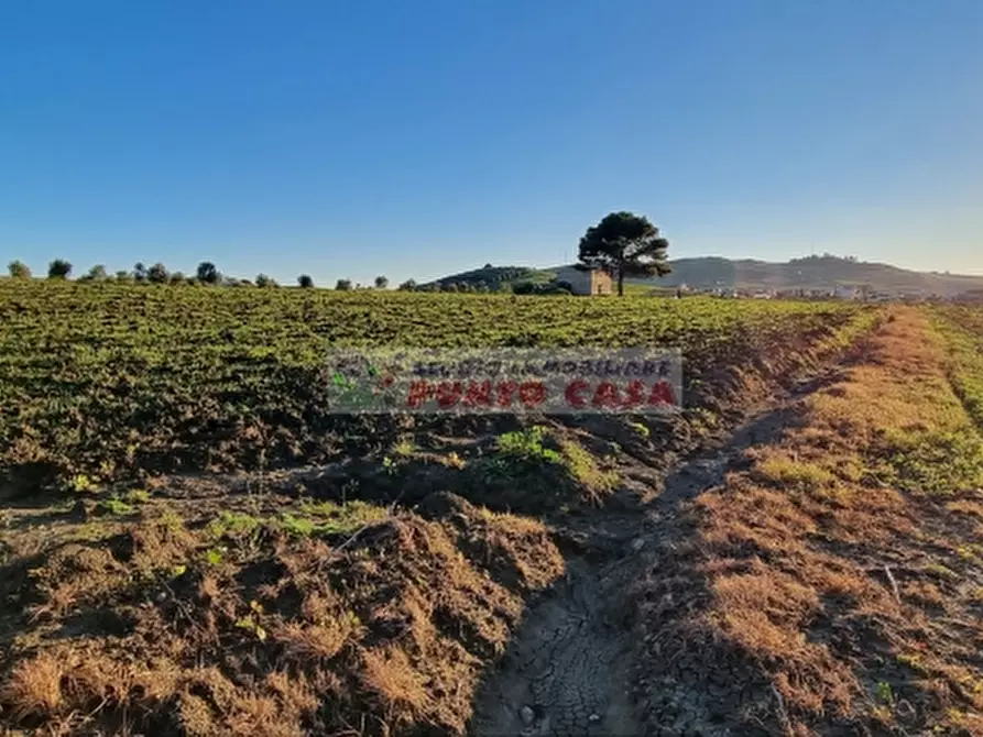 Immagine 7 di Terreno residenziale in vendita  a Erice