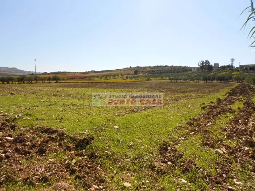 Immagine 9 di Terreno residenziale in vendita  a Valderice