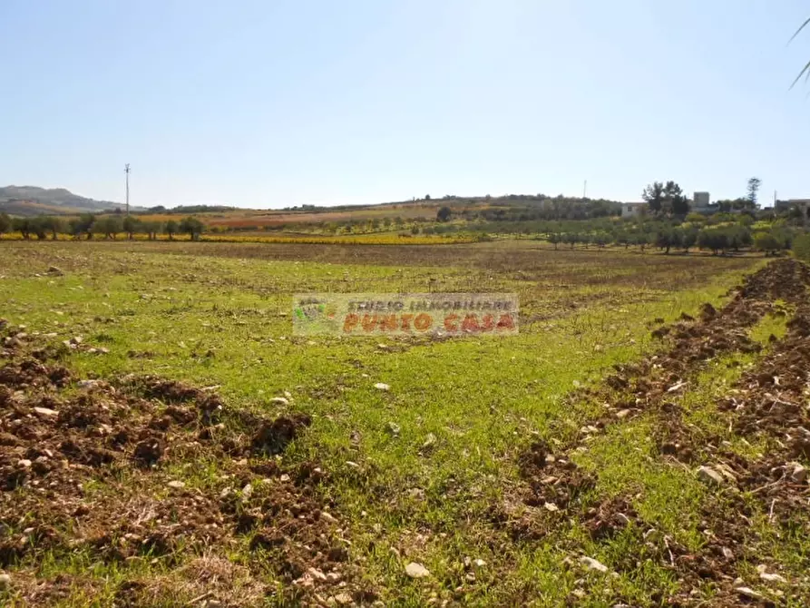 Immagine 10 di Terreno residenziale in vendita  a Valderice