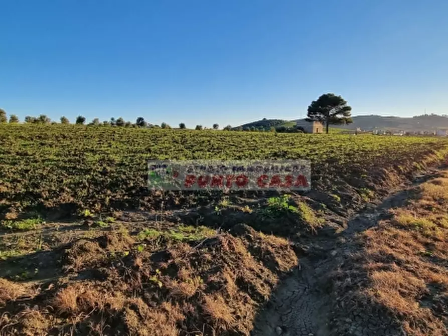 Immagine 1 di Terreno agricolo in vendita  a Erice