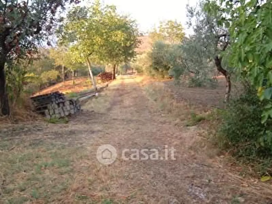 Immagine 10 di Terreno agricolo in vendita  in SP2 a Controguerra