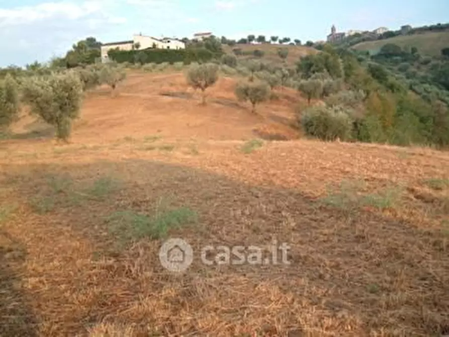 Immagine 11 di Terreno agricolo in vendita  in SP2 a Controguerra