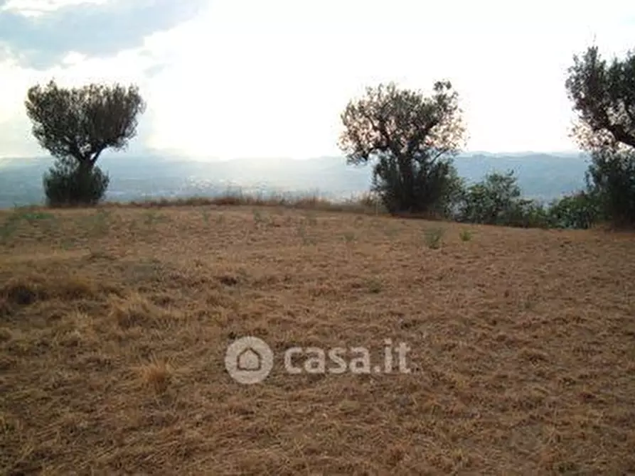 Immagine 12 di Terreno agricolo in vendita  in SP2 a Controguerra