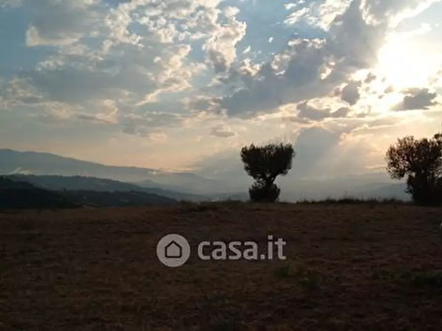 Immagine 14 di Terreno agricolo in vendita  in SP2 a Controguerra