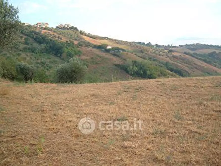Immagine 15 di Terreno agricolo in vendita  in SP2 a Controguerra