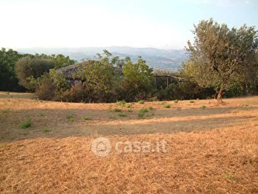 Immagine 2 di Terreno agricolo in vendita  in SP2 a Controguerra