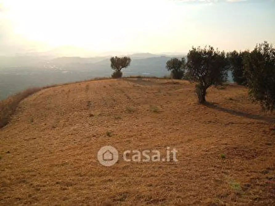 Immagine 3 di Terreno agricolo in vendita  in SP2 a Controguerra