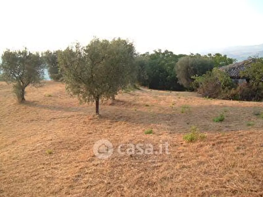 Immagine 4 di Terreno agricolo in vendita  in SP2 a Controguerra