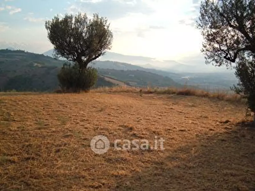 Immagine 7 di Terreno agricolo in vendita  in SP2 a Controguerra