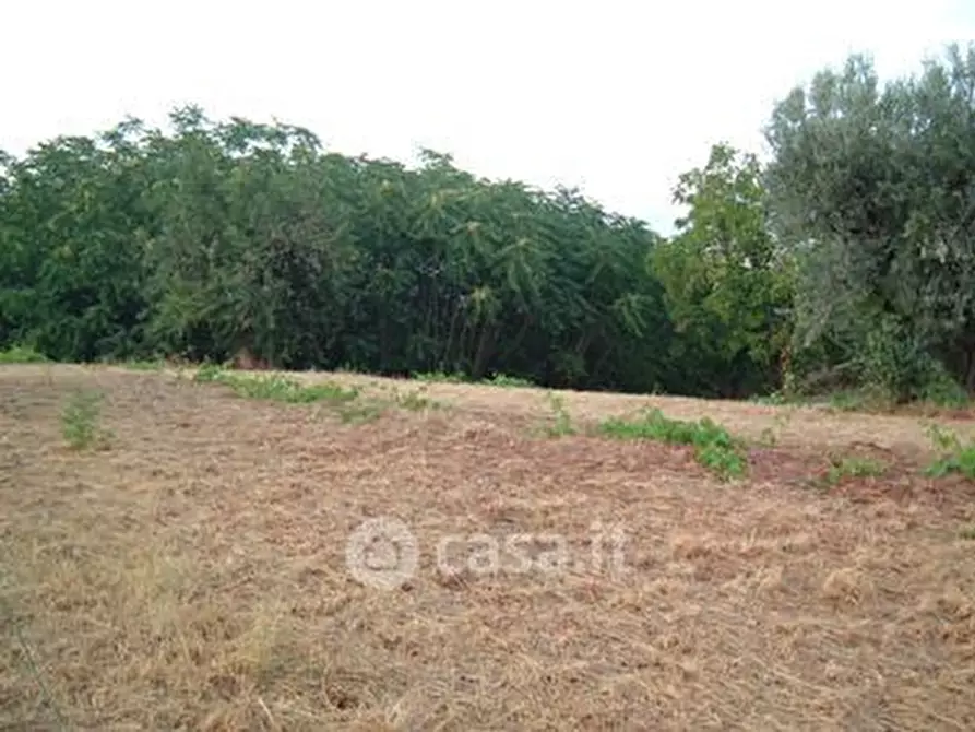 Immagine 8 di Terreno agricolo in vendita  in SP2 a Controguerra
