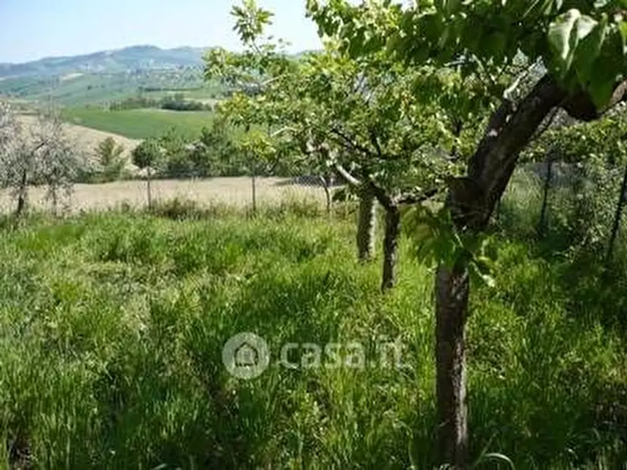 Immagine 26 di Casa indipendente in vendita  in Strada Provinciale 262 94 a Bellante