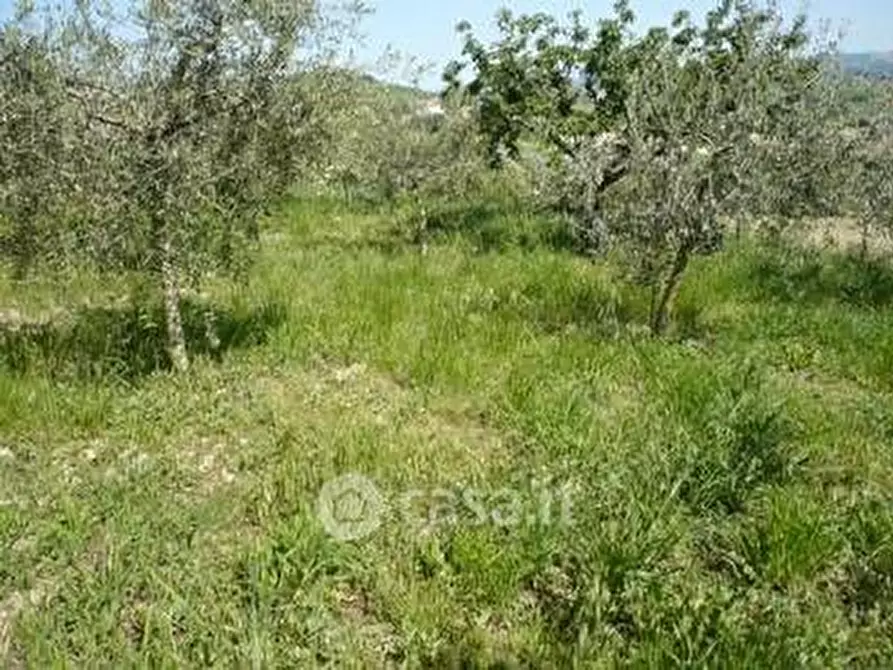 Immagine 27 di Casa indipendente in vendita  in Strada Provinciale 262 94 a Bellante